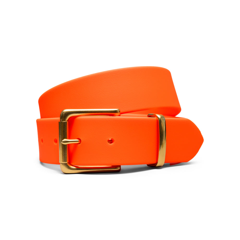 Traveller BioThane® Field Belt (Blaze)