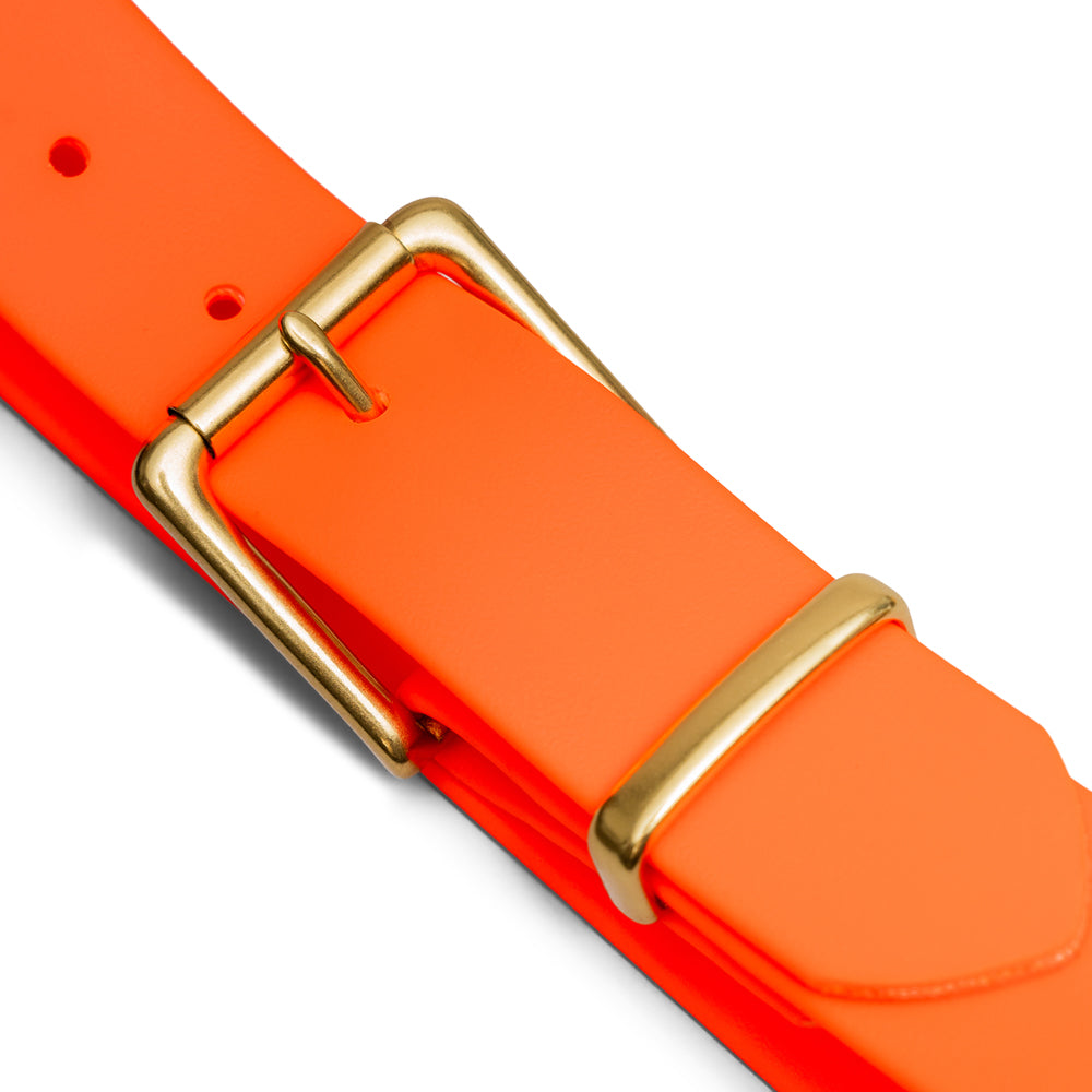 Traveller BioThane® Field Belt (Blaze)